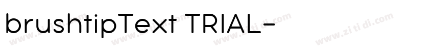 brushtipText TRIAL字体转换